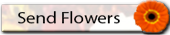 send flowers arrangements for funeral